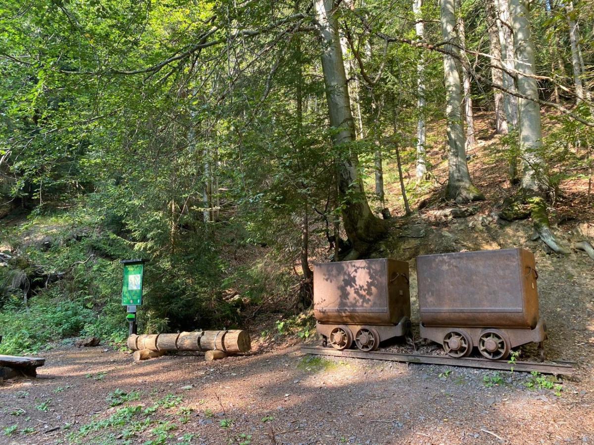 Vila 66 - Cista V Krkonosich Cerny Dul Bagian luar foto