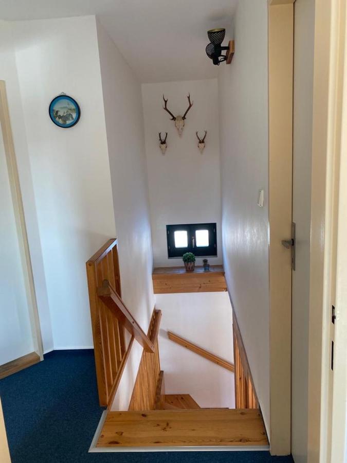 Vila 66 - Cista V Krkonosich Cerny Dul Bagian luar foto