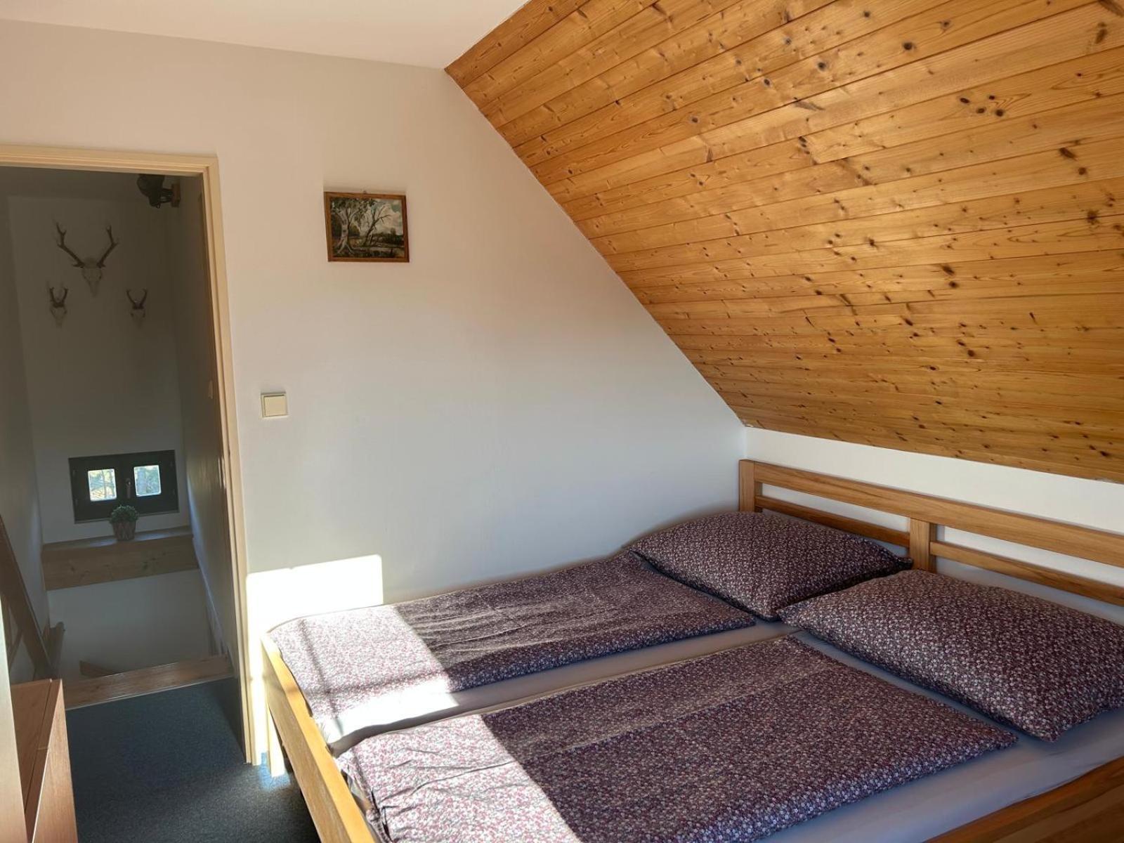 Vila 66 - Cista V Krkonosich Cerny Dul Bagian luar foto